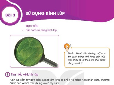 Bài 3 | Sử Dụng Kính Lúp (Trang 13 – 14)