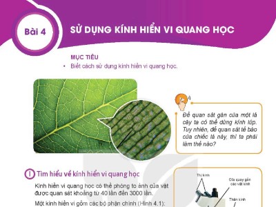 Bài 4 | Sử Dụng Kính Hiển Vi Quang Học (Trang 15 – 16)