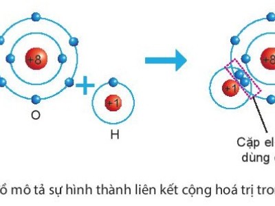 KHTN 7 | Liên kết hóa học - Liên kết cộng hóa trị - Liên kết ion