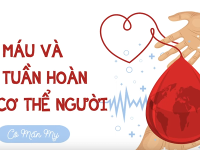 Máu và hệ tuần hoàn của cơ thể người (phần 1) - Khoa học tự nhiên 8