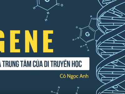 Gene là trung tâm của di truyền học (phần 1) - Khoa học tự nhiên 9