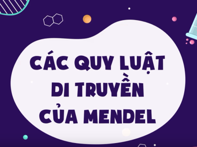 / 9:25 Các quy luật di truyền của Mendel - Khoa học tự nhiên 9