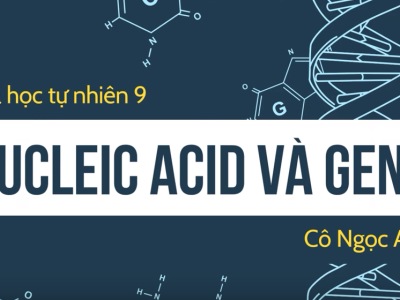 Nucleic acid và gene - Khoa học tự nhiên 9