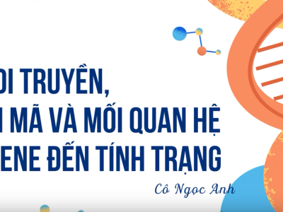 Mã di truyền, dịch mã và mối quan hệ từ gene đến tính trạng - Khoa học tự nhiên 9