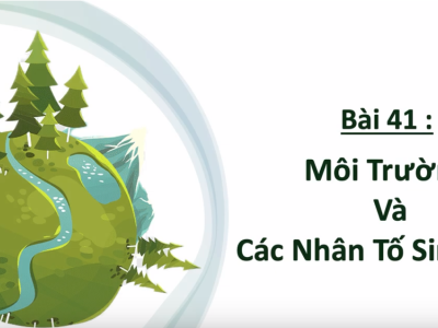 KHTN 8 - Bài 41 : Môi Trường Và Các Nhân Tố Sinh Thái (CHƯƠNG 8 - Kết nối tri thức)